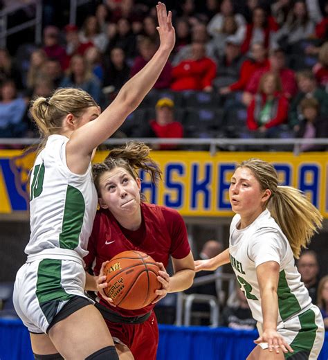 avonworth girls basketball|avonworth wpial champion highmark.